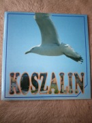 Koszalin. Folder Urzędu Miasta w Koszalinie