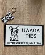Wyjątkowe tabliczki uwaga zły pies duży wybór doberman GRATIS BRELOCZEK