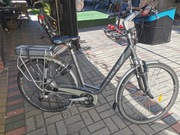 Rowery elektryczne Gazela i Trek damki