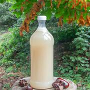 Kwas Enzymy Bołotowa na Koziej Serwatce i Glistniku (też na Kasztanach)