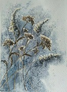 Oryginalna akwarela "Zimowe trawy" 