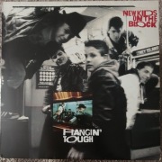 New kids on the Block- hangin tough