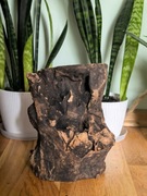 Korzeń do akwarium lub terrarium