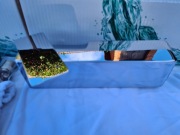 Baterie prysznicowe / wannowe VITRA BRAVA  A42357EKM 