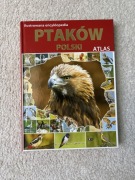Ilustrowana encyklopedia ptaków polskich atlas 