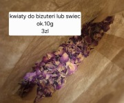 Suszone kwiaty do żywicy świec biżuterii dekoracji mix kwiatów