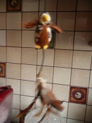 zabawka dla kota  ptaszek na framugę piórka NOWA