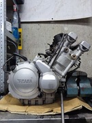 Silnik Yamaha Thundercat