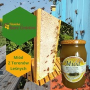 Miód z  terenów leśnych z pasieki Barć Ćmielów
