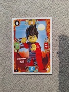 Lego Ninjago S5 Prime Empire - karta nr 13 i inne