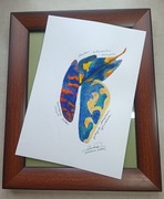 ANATOMIA ZACHWYTU 21X30akwarela (bez ramki) 