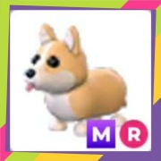 Mega Neon Ride Corgi MR | Adopt Me | Roblox