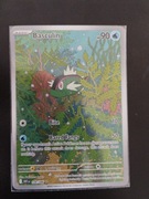 Basculin Illustration rare - White Flare WHT