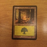 Forest (349) Onslaught MTG land