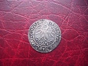 MONETA  Półgrosz 1561 r. Zygmunt II August Litwa Wilno