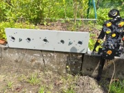 Cel biatlonowy trzy średnice