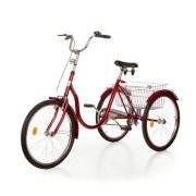 Rower rehabilitacyjny TOLEK