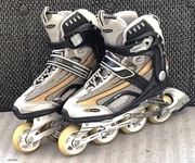 Rolki Hy Skate Element XF I rozm 39 wkład 25,5 cm 