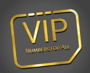 Platynowy numer 601 22 55 66