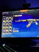 Konto valorant dużo skinów