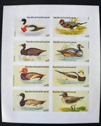 !!! KOLONIE GWINEA PTAKI - SERIA CIĘTE - CZYSTE**!!! 