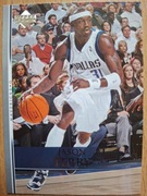 KARTA NBA UPPER DECK 2007-08 JASON TERRY NR 6