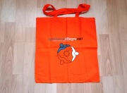 Allegro 2007 r. Torba płócienna. Podróże sentymetalne. 