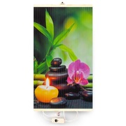 Grzejnik na podczerwień TRIO (Grzejący obraz) Harmonia z regulatorem