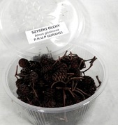 SZYSZKA OLCHY -- opakowanie 03 L.