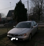 Primera P11 lift na części 