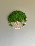 Drzewko z mchu Drzewo mech chrobotek Obraz 30 cm