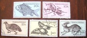 Fauna 925 - 929 1955 rok kpl.