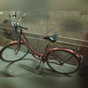 Rower Laguna pół darmo