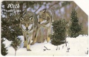 nr 1337 - Zwierzęta chronione 6 - ssaki - Wilk