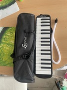 Instrument muzyczny Melodyka Harmonijka klawiszowa etui dwa ustniki IN0175