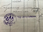 Leśmierz Łęczyca spis ludności 1921 oryginał