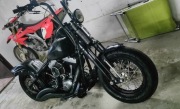 Harley Davidson crossbones 