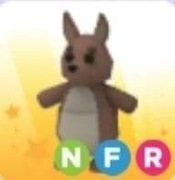 Neon kangaroo adopt me