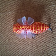 Cykada jungle topwater 