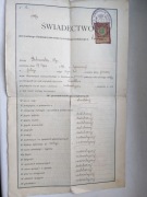 Świadectwo seminarium nauczycielskiego w Samborze 1909