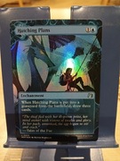 Hatching Plans FOIL