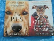 Cameron był sobie pies o psie który wrócił do domu