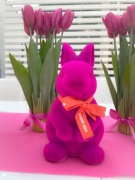 Zając stary browar 26cm