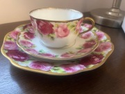 RC Rosenthal  Chrysantheme - lata 1891- 1906  