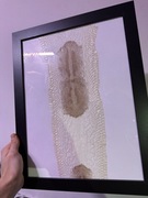 Obrazy ramki handmade skóra węża alternative dekoracja plakat prezent