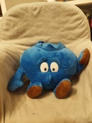 Świeżak borówka Basia 