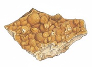 KALCYT MAMMILARNY Fragment szaty naciekowej TRIAS OPOLSKI