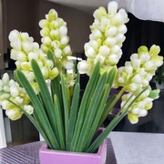 Wiosenny biały bukiet 3 hiacyntów 