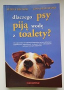 Dlaczego psy piją wodę z toalety?