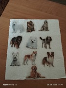 Naklejki zwierzę Psy (4)